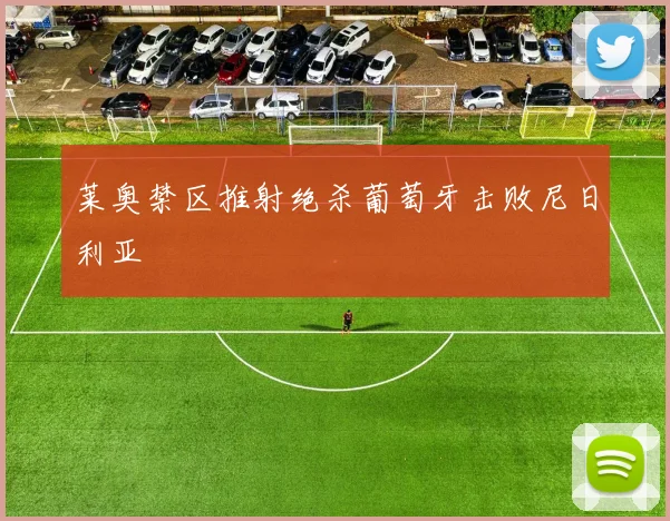 莱奥禁区推射绝杀葡萄牙击败尼日利亚