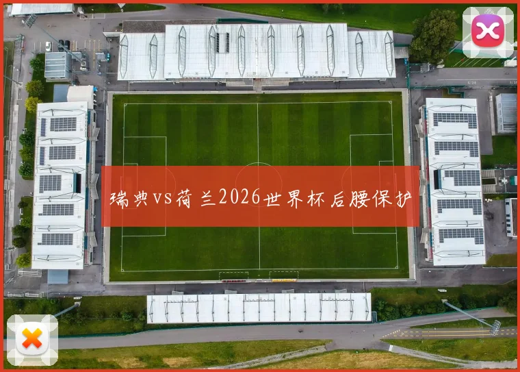 瑞典vs荷兰2026世界杯后腰保护